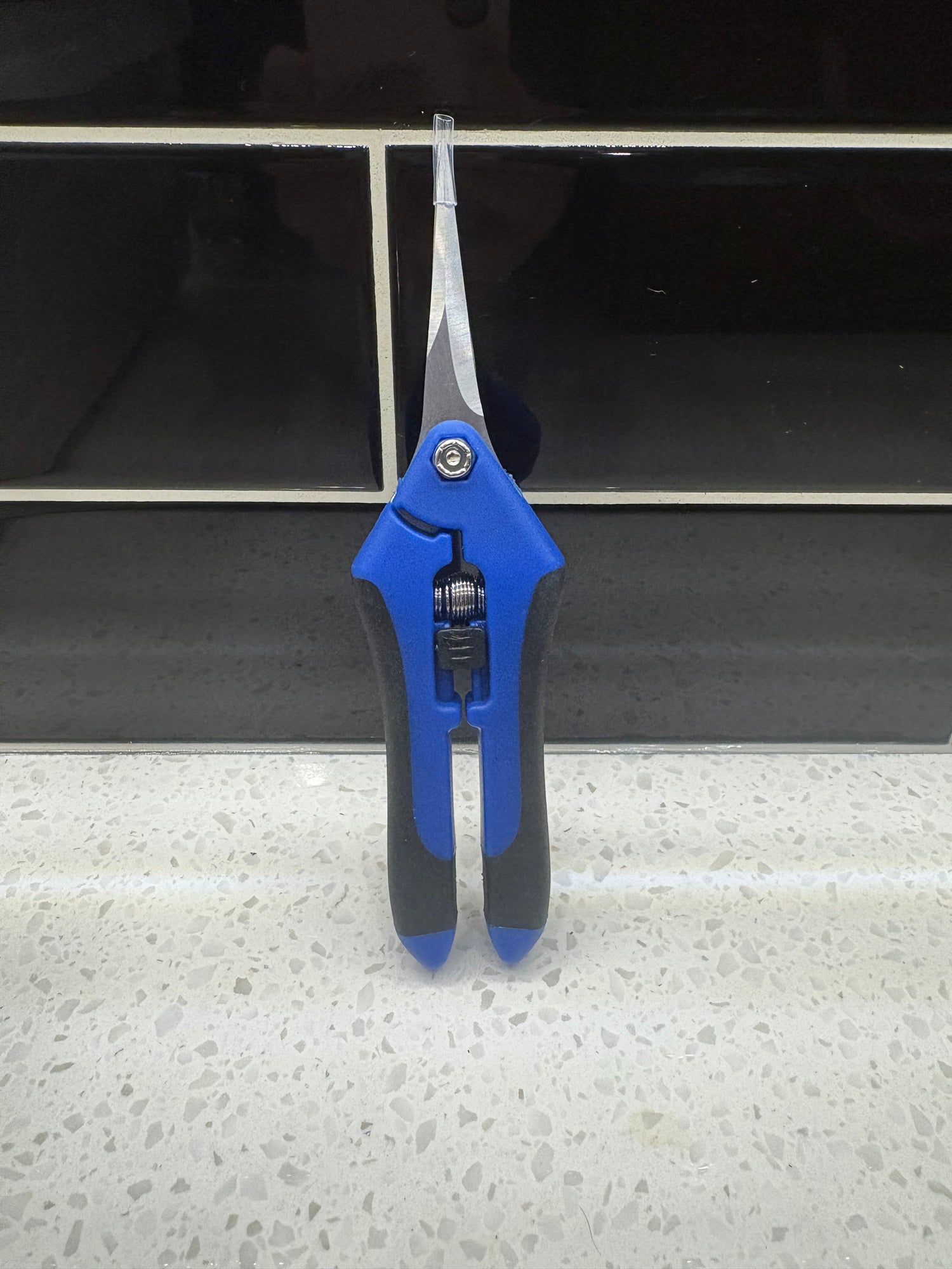 Carly's Favourite Trimmers