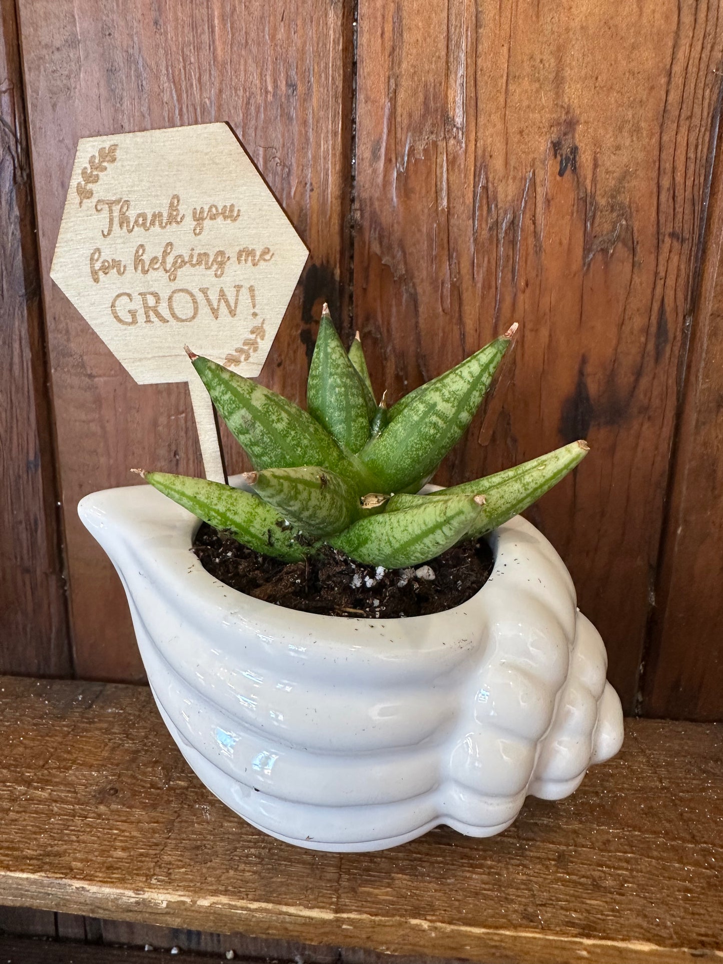 Thanks for Helping me Grow - Potted Plant bundle