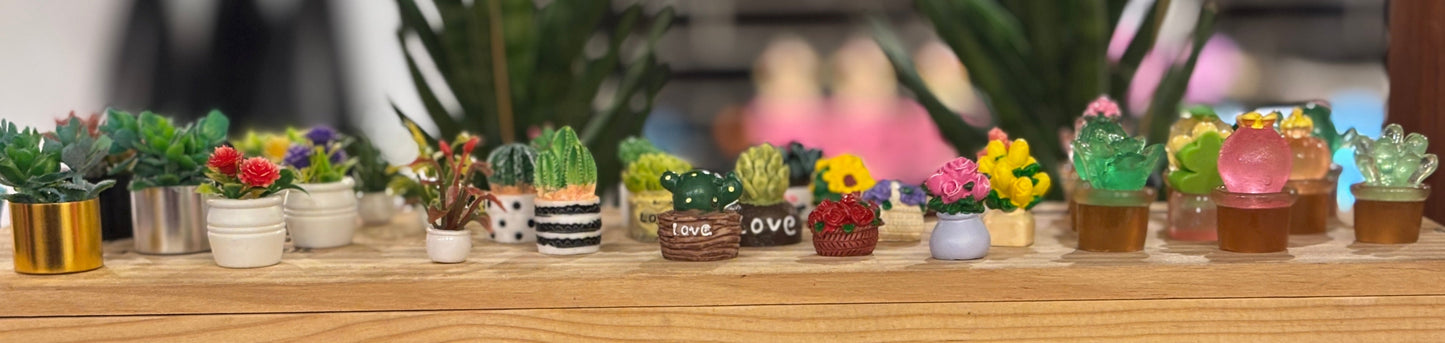 Mini Dollhouse Plants