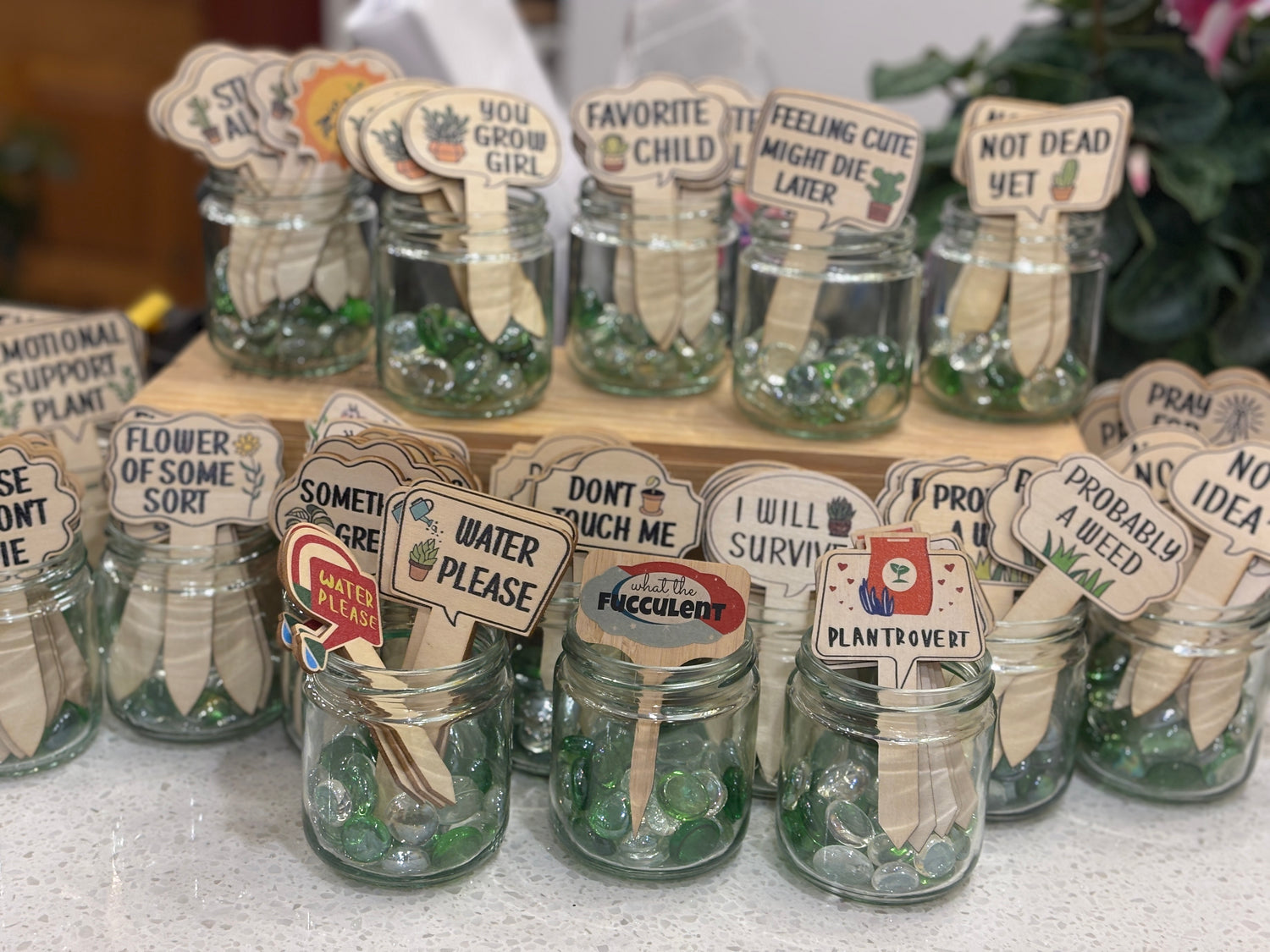 Sassy Plant Signs
