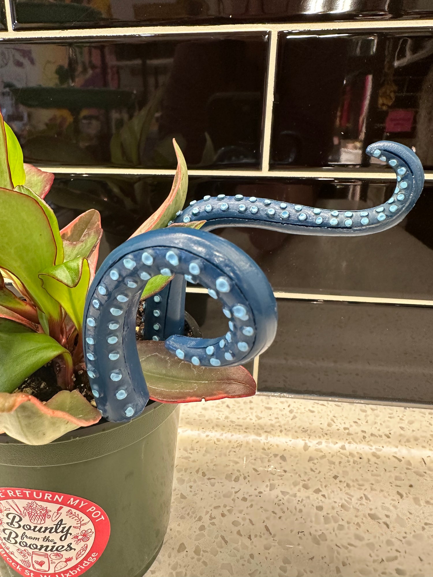 Tentacle Dopamine Plant Decor