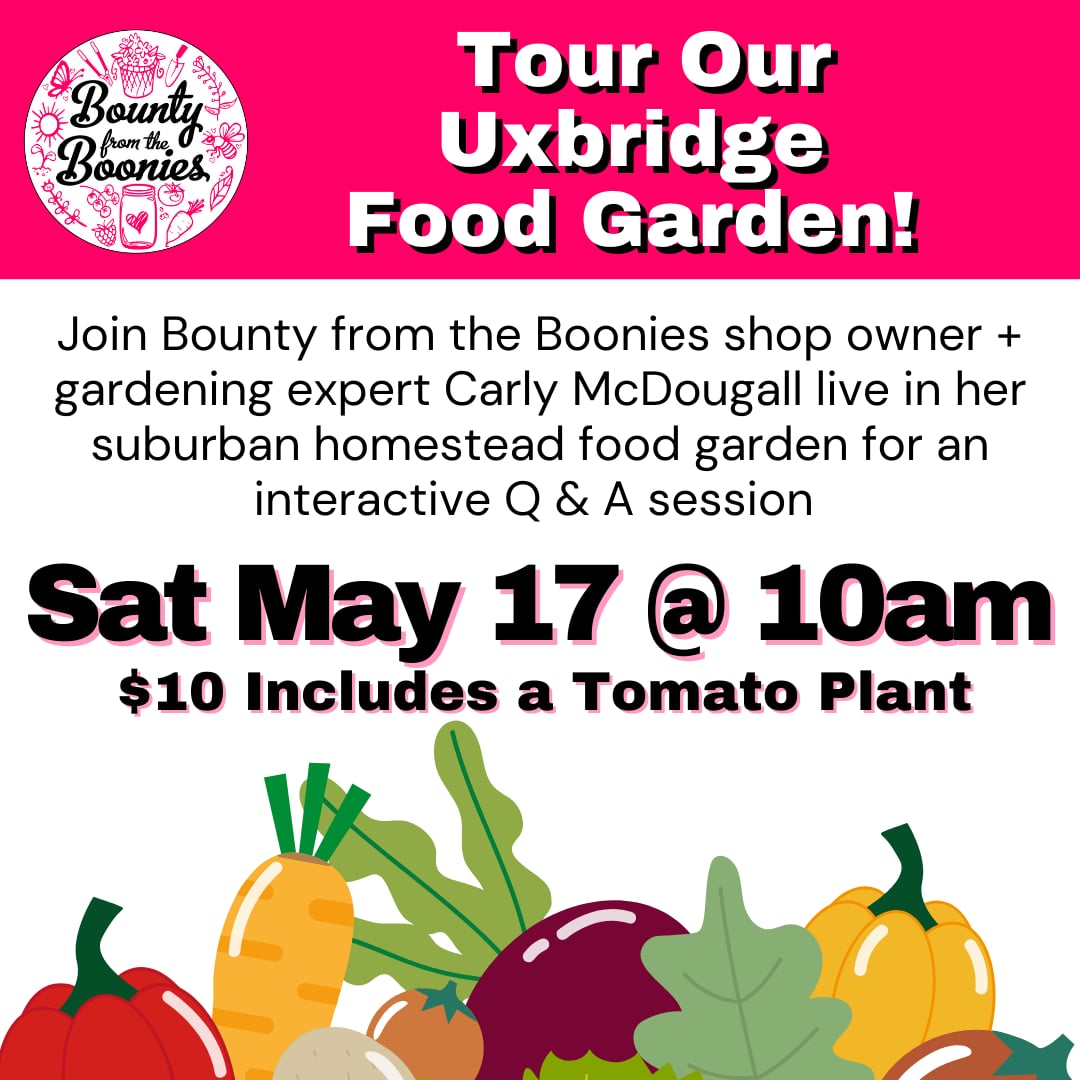 Tour our Food Garden