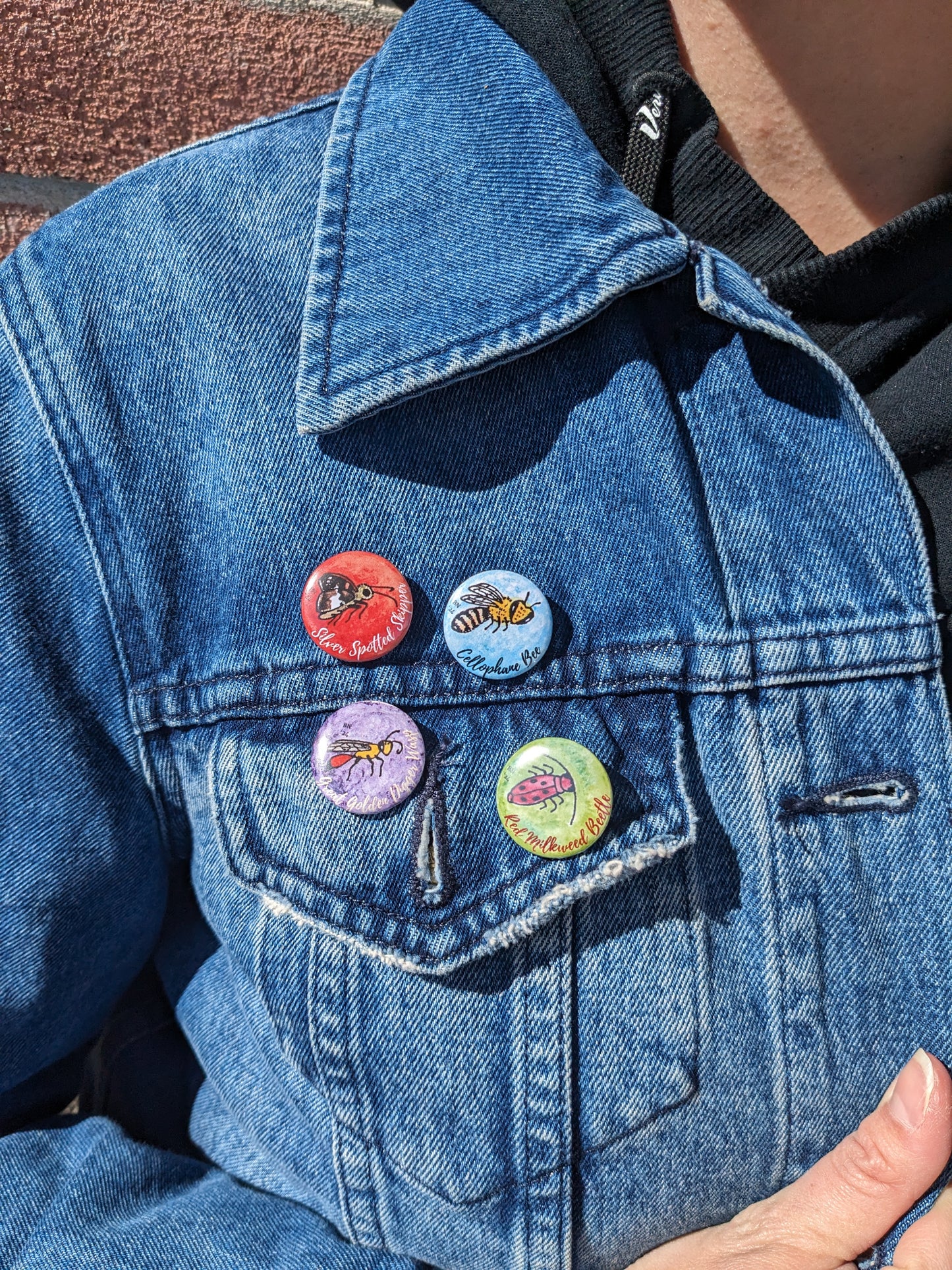 Biodiversity Buttons