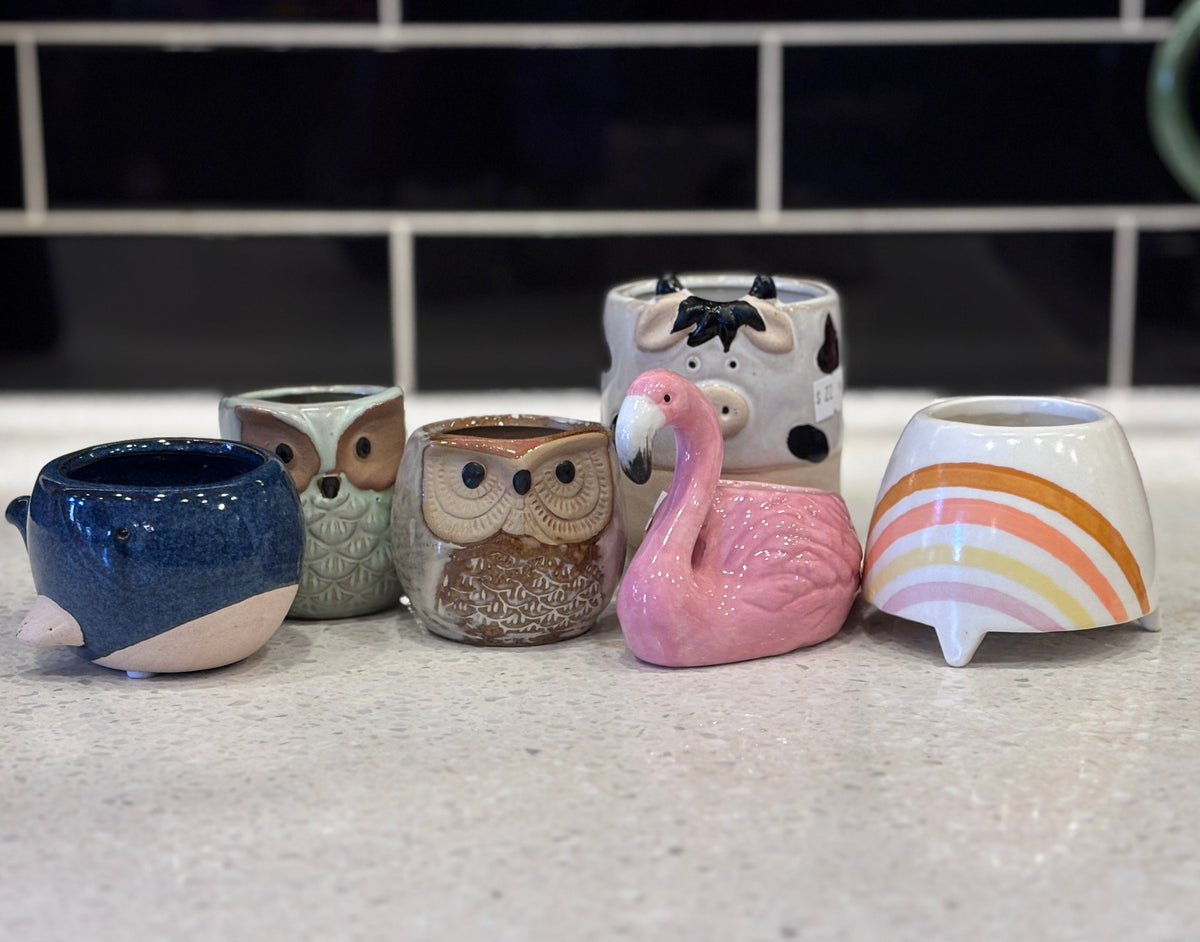 Plant Pots - Small