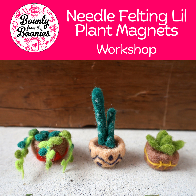 Needle Felting Lil Plant Magnets Workshop