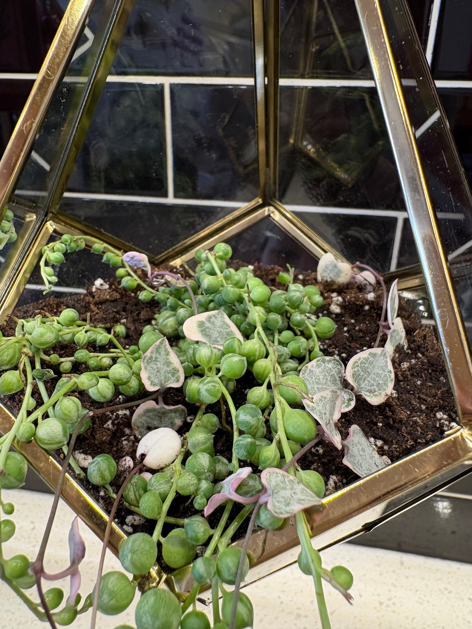 Triangular Glass Pot w/ String of Pearls and Hearts