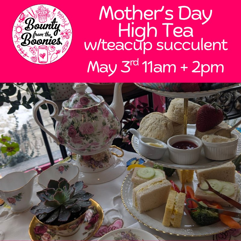 Mother's Day High Tea w/teacup succulent