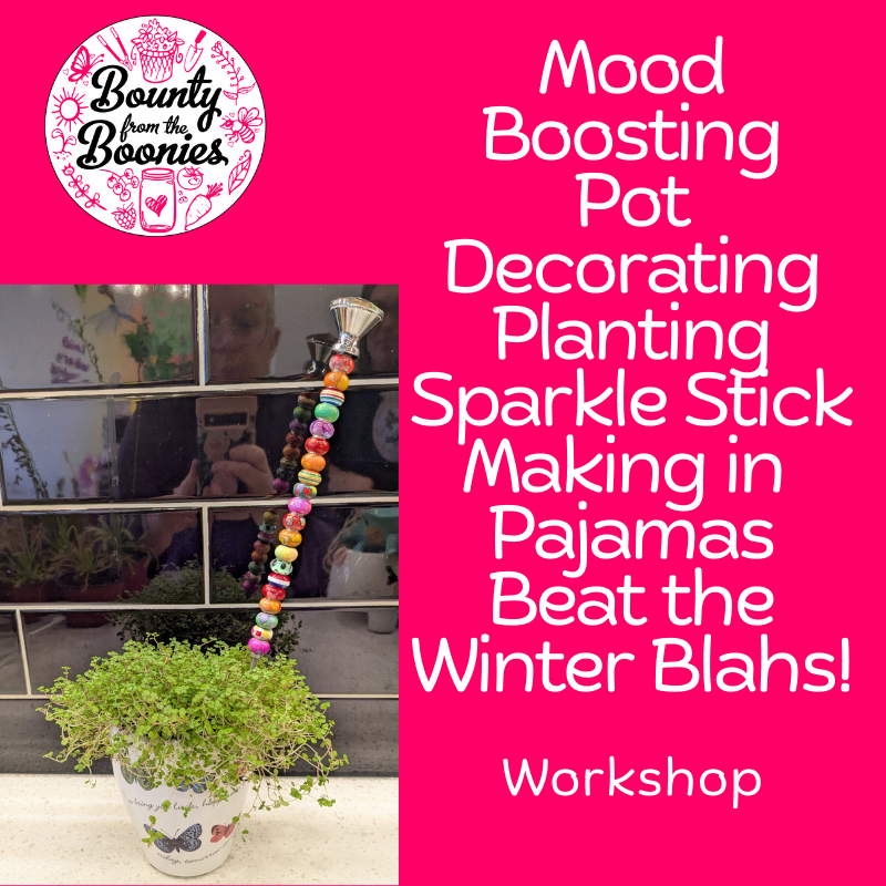 Mood Boosting, Pot Decorating, Planting, Sparkle Stick Making in PJs Beat the Winter Blahs Workshop