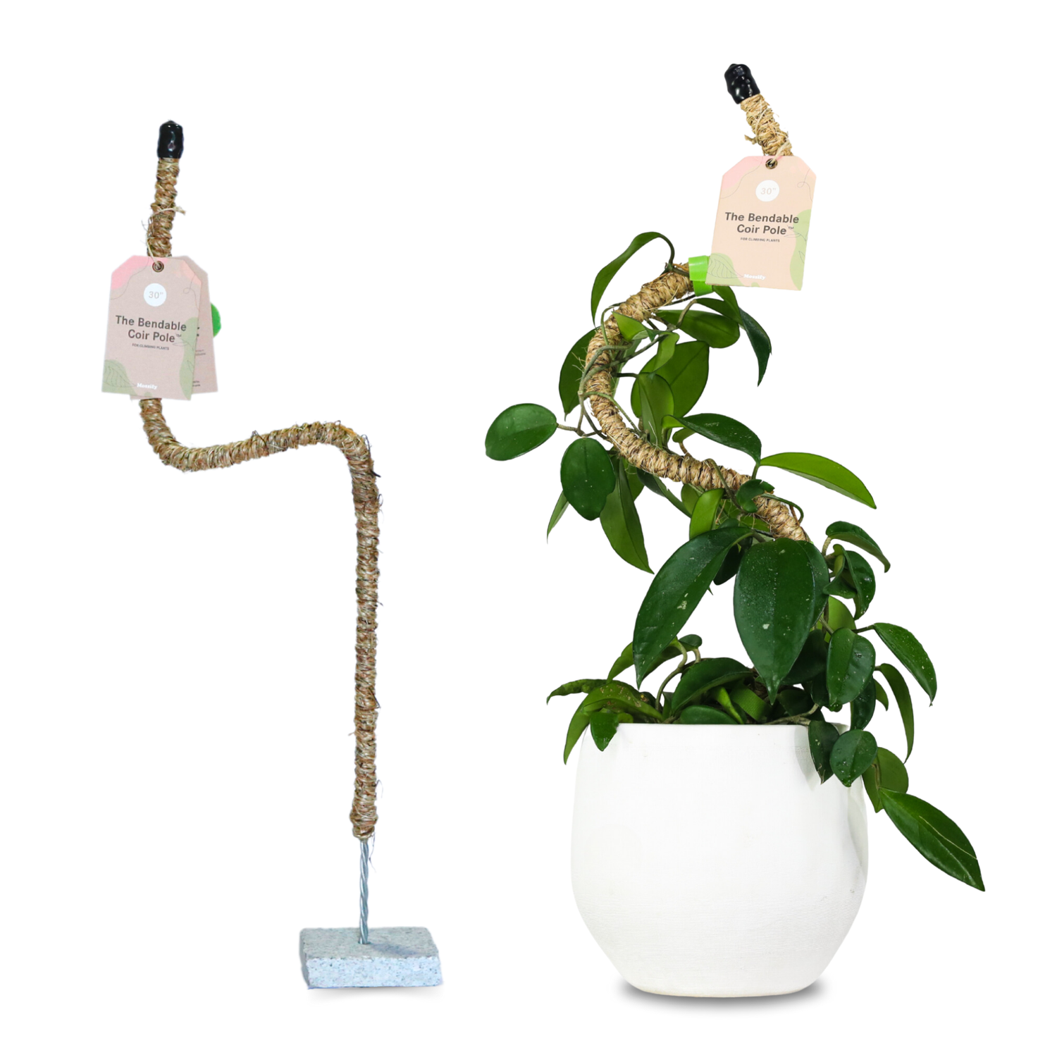 Mossify Bendable Coir Pole 30”