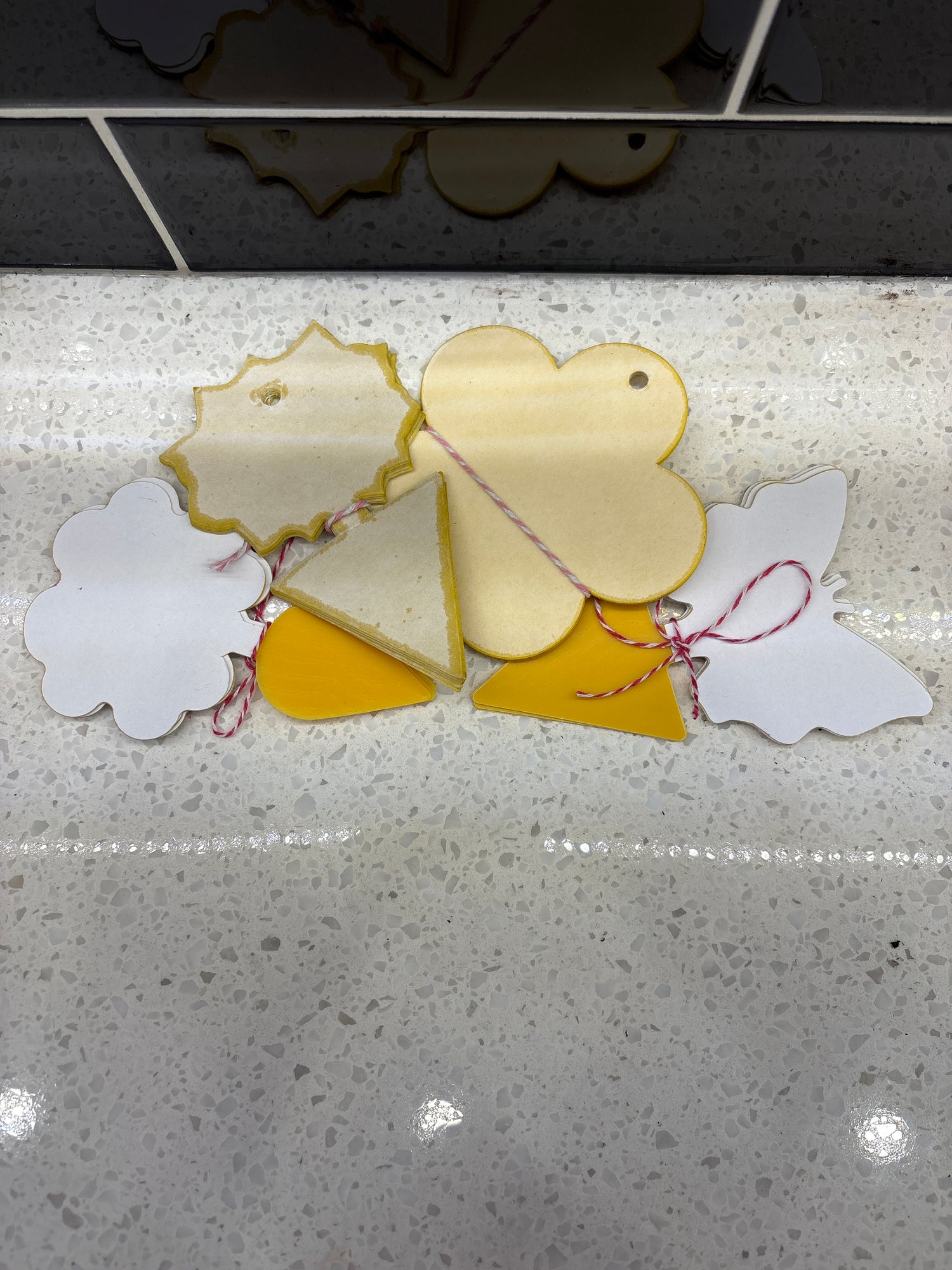 Sticky Traps (5 pack)