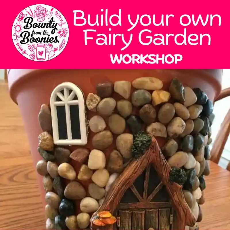 Make your own Fairy Garden - Workshop