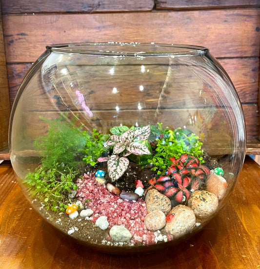 Terrarium - Large (pink rocks)