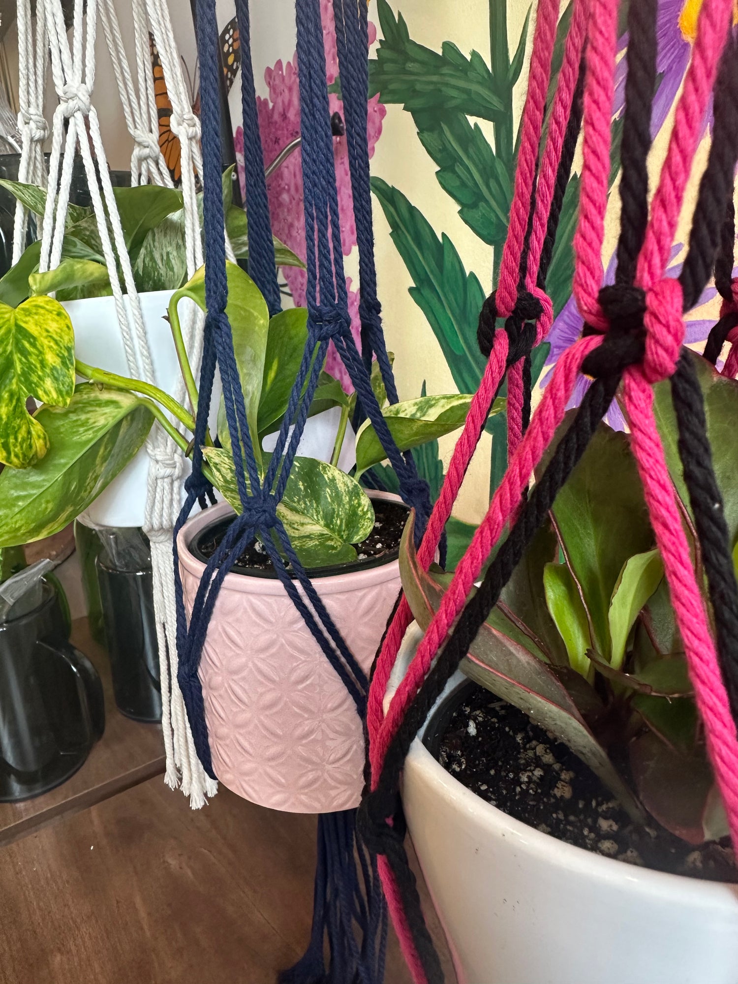 Make Your Own Macrame Plant Hanger