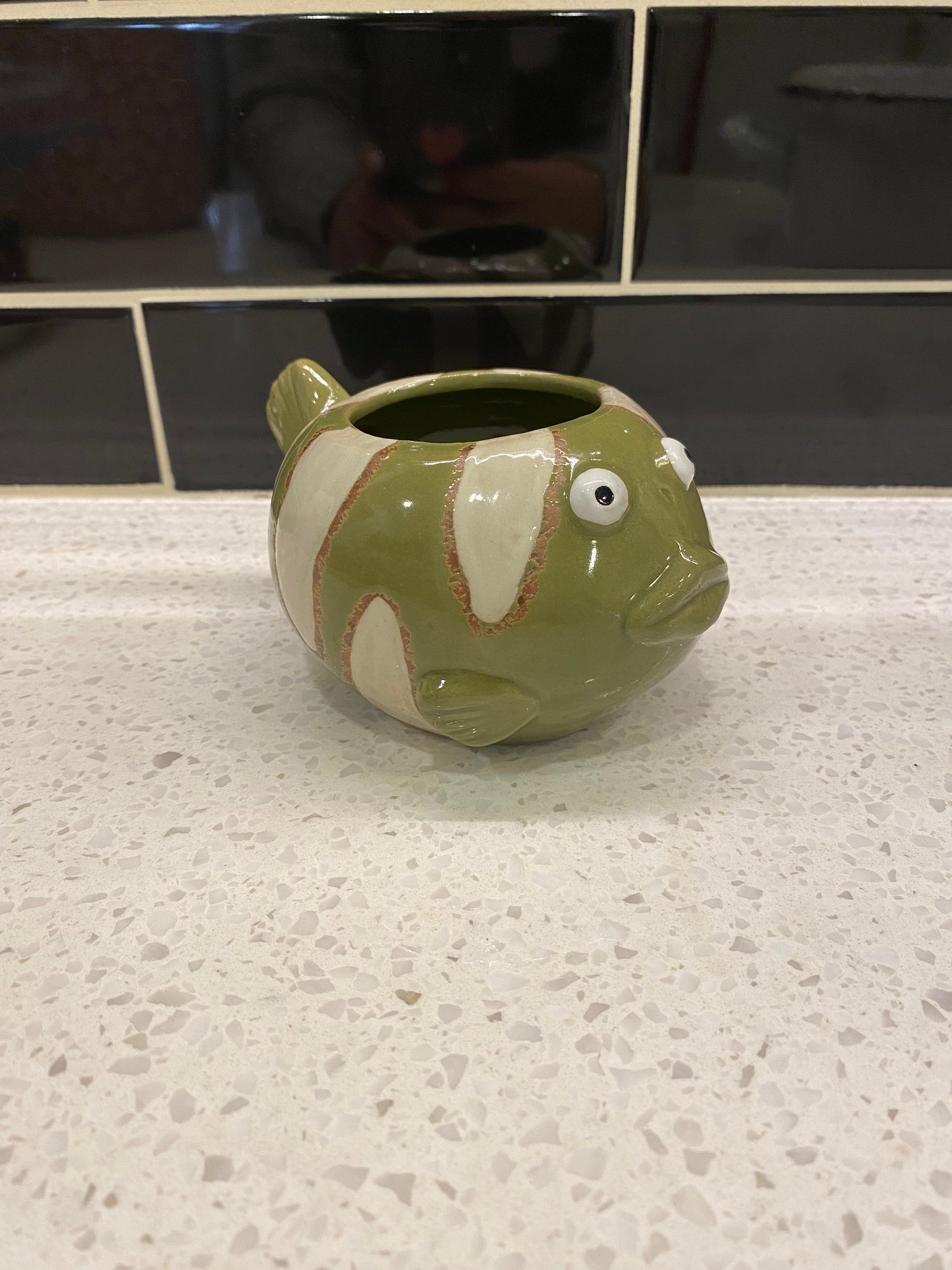 Small Funky Green Fish Pot