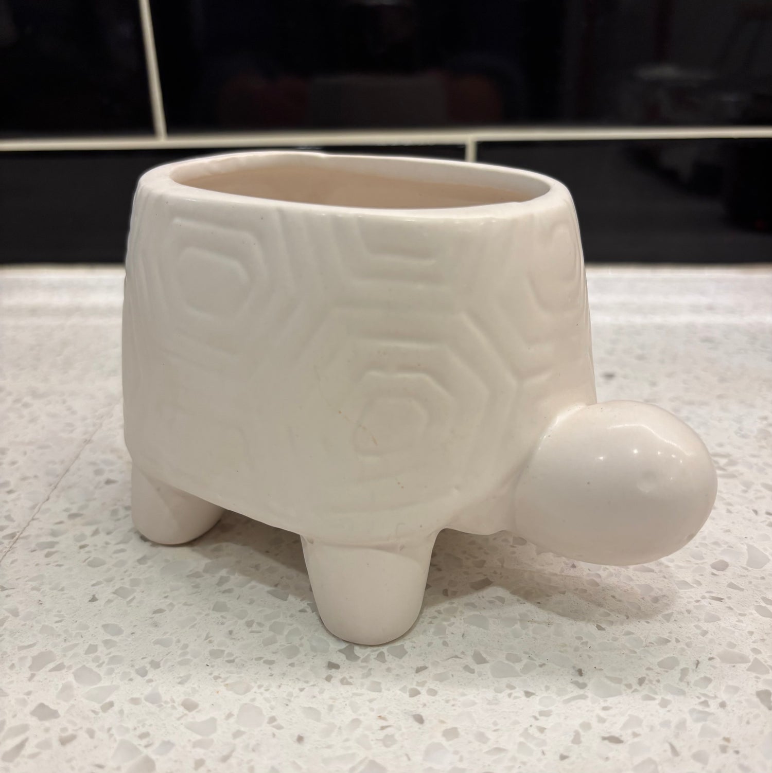 Small White Turtle Pot