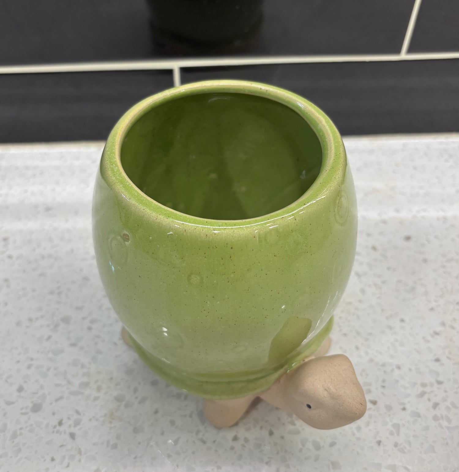 Cute Medium Turtle Pot w/ Green Shell