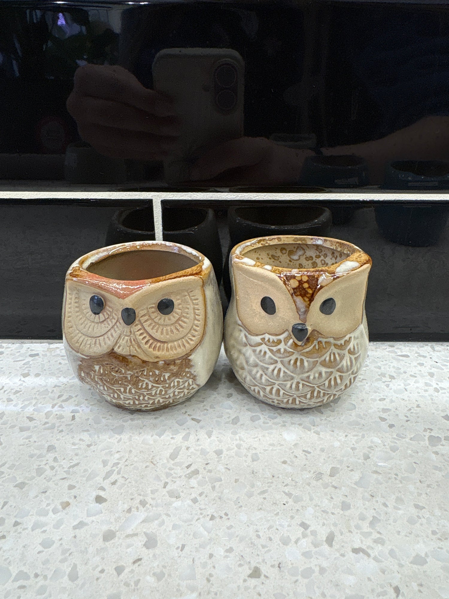Small Owl Pot