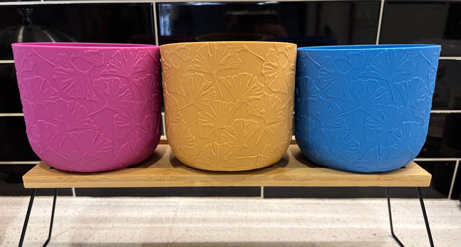 Medium Size Pot with Gingko Design