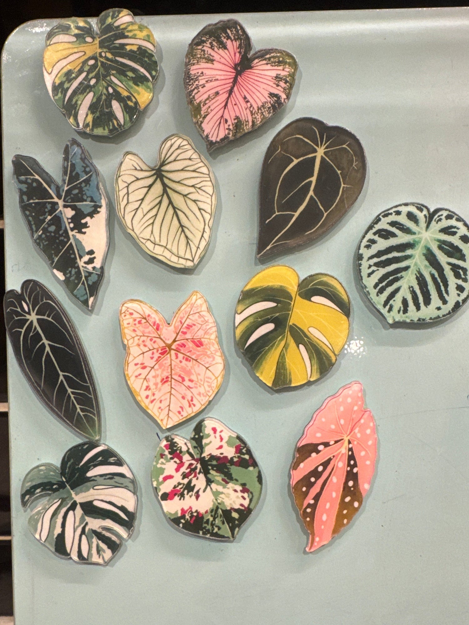 Acrylic Leaf Magnets - 12 Pc