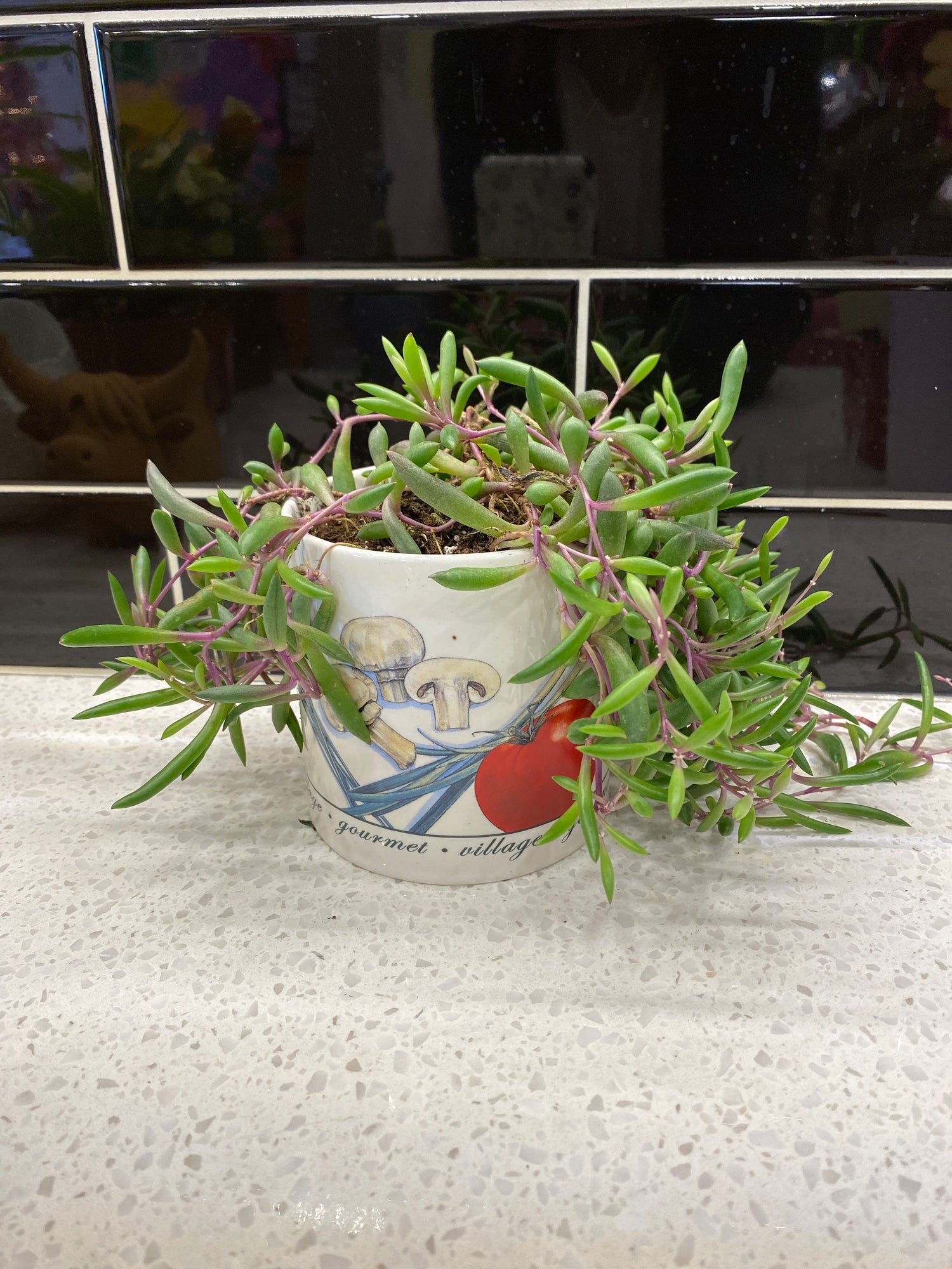 Potted String of Bananas