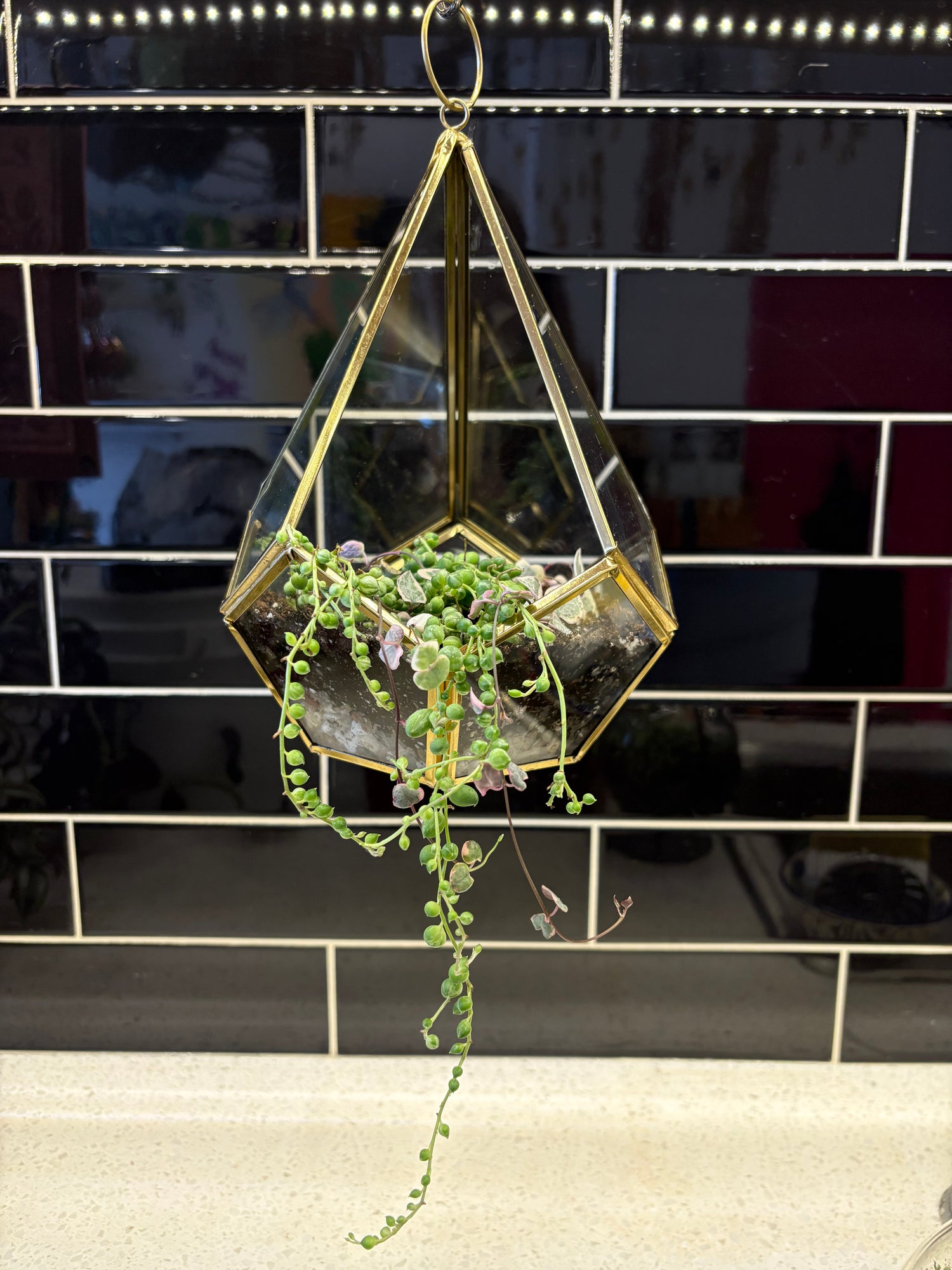 Triangular Glass Pot w/ String of Pearls and Hearts