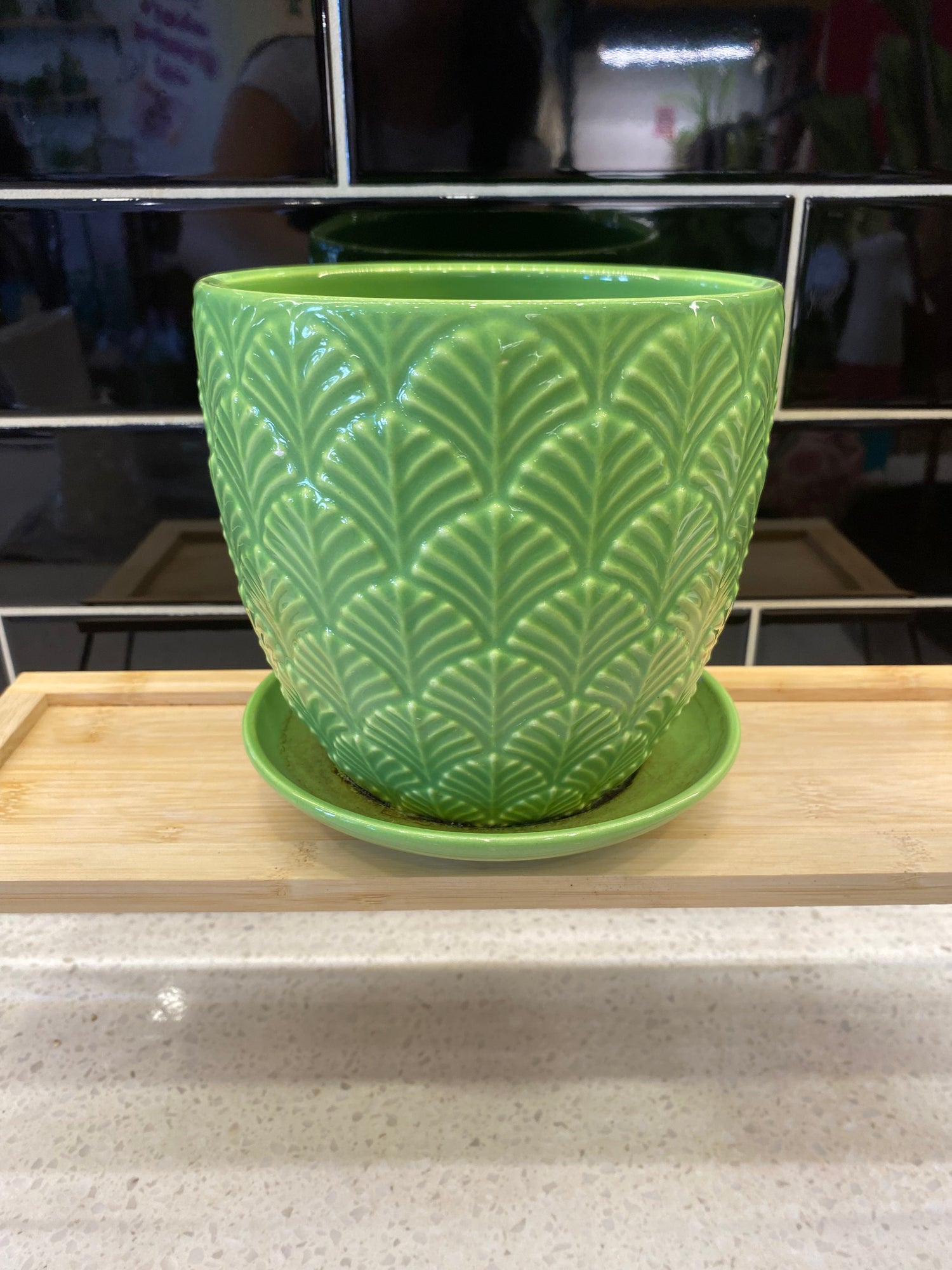 Green Pot with Water Catch Tray