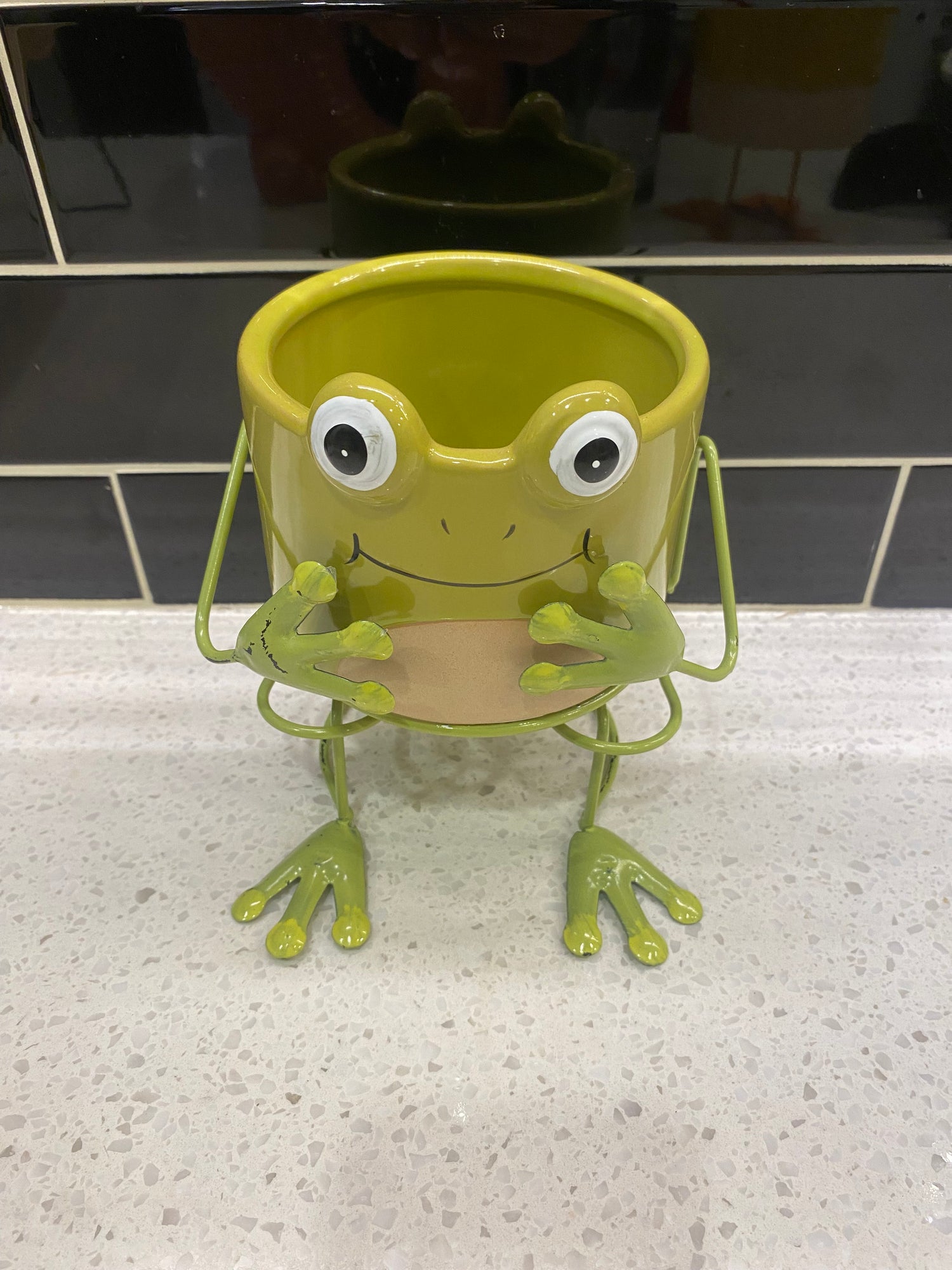 Frog Friend Pot