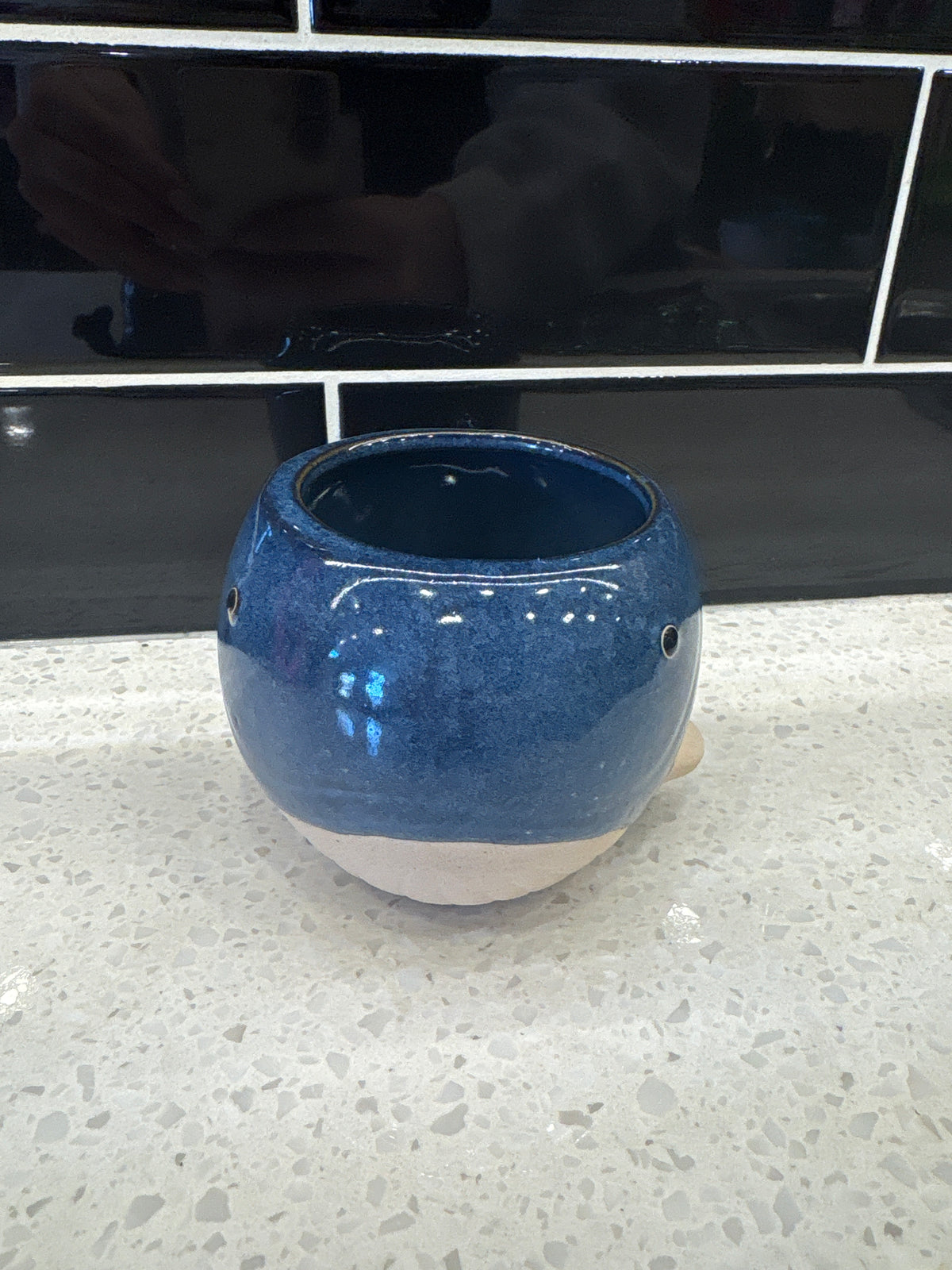 Small Whale Pot