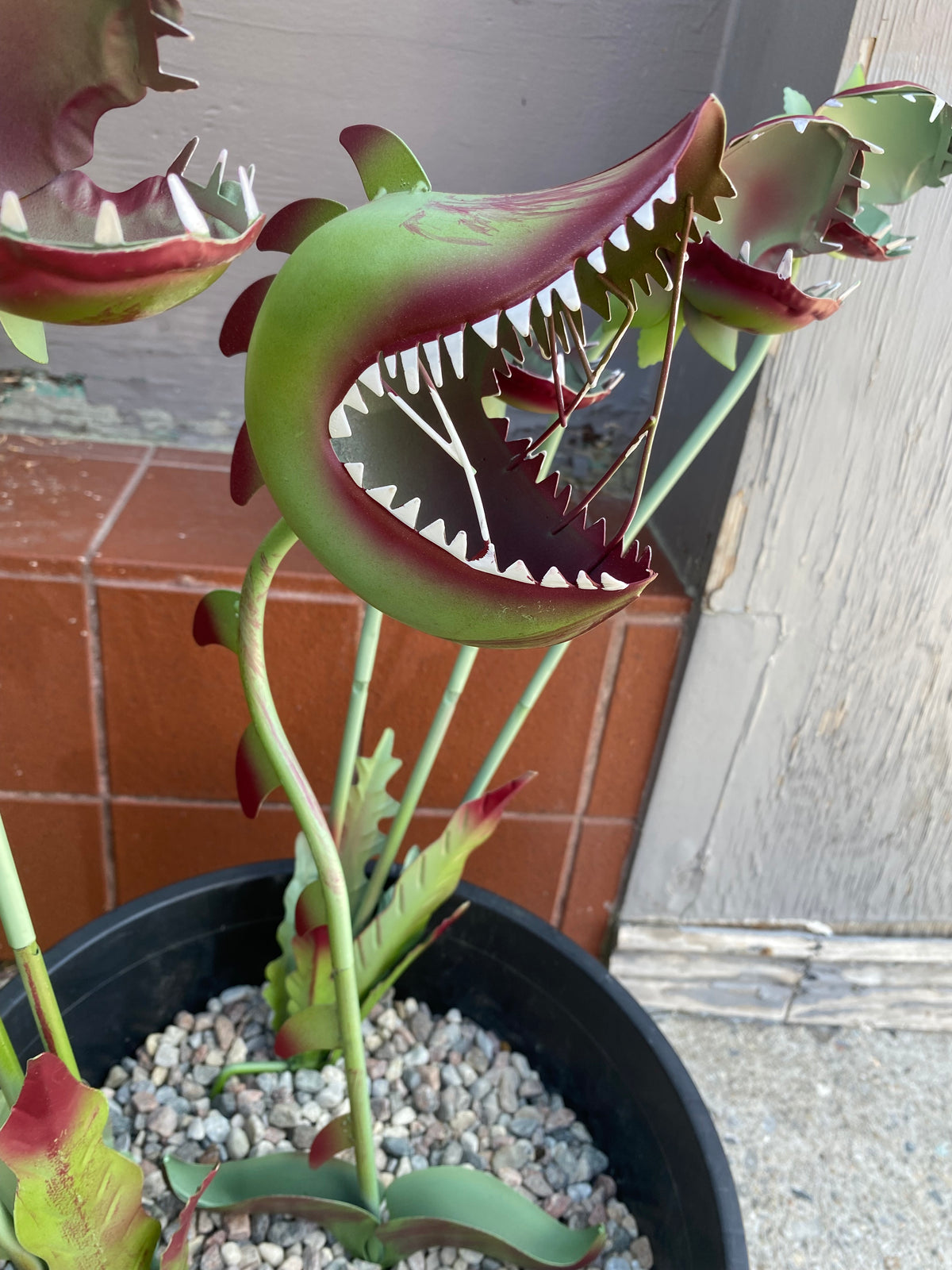 Metal Carnivorous Plant Stake