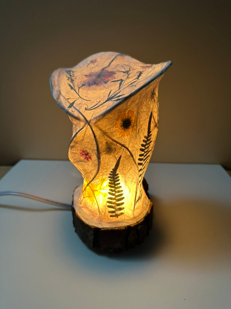 Nature's Glow: Pressed Flowers in Illuminated Art