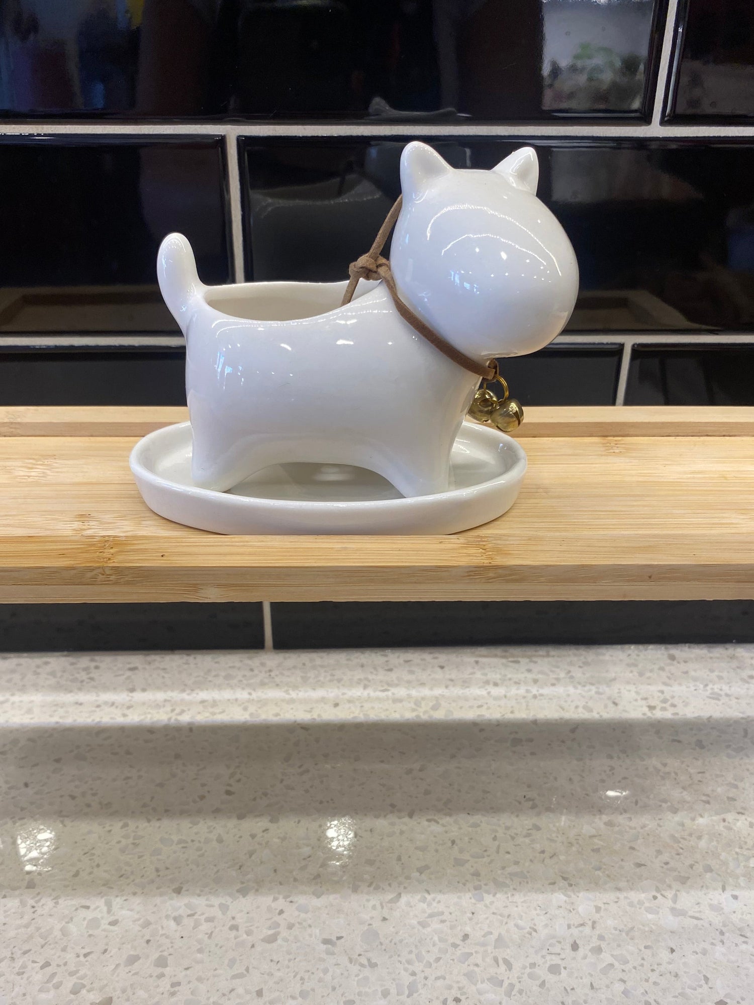 Small White Dog with Bells