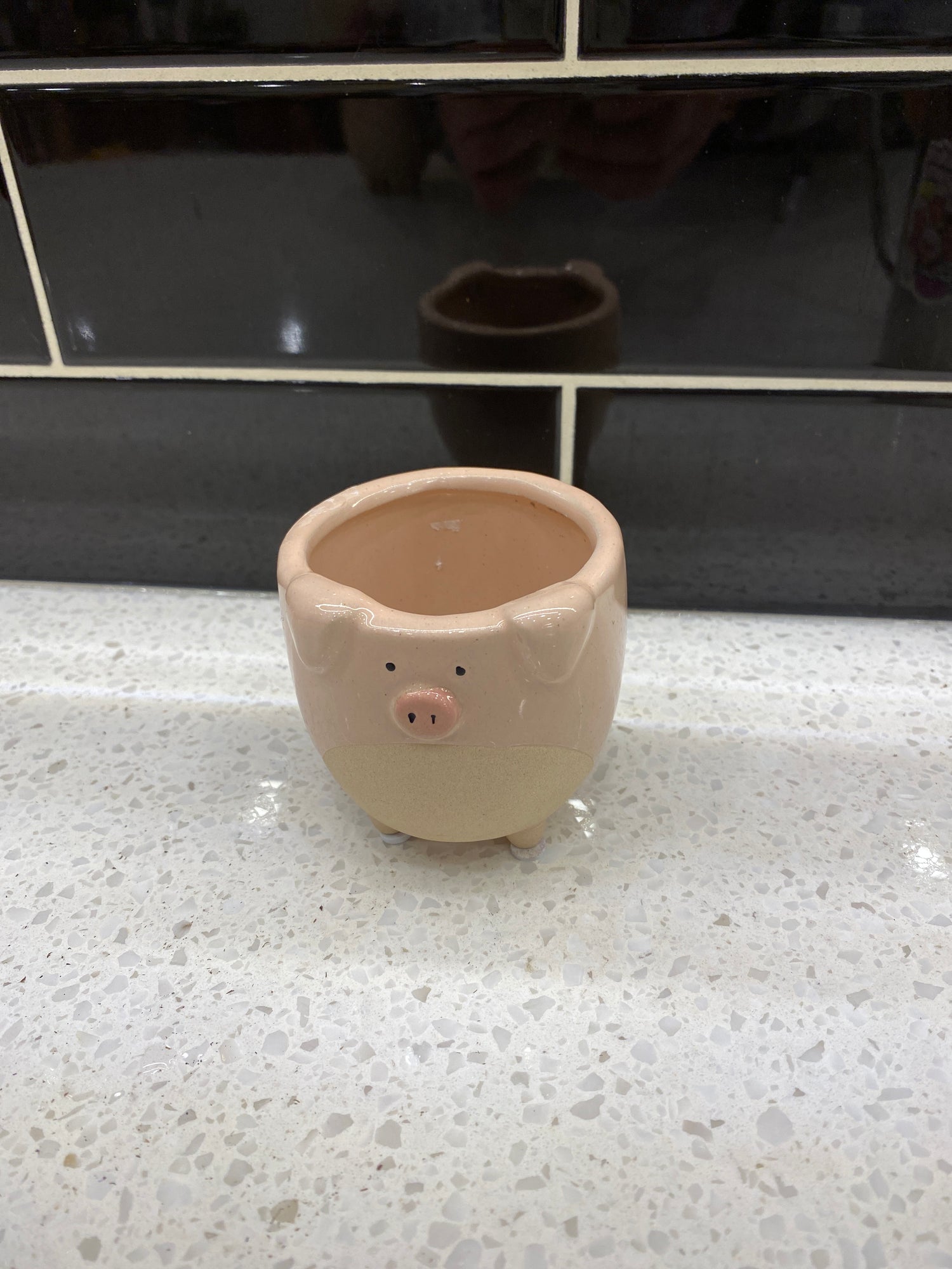 Small Pig Pot