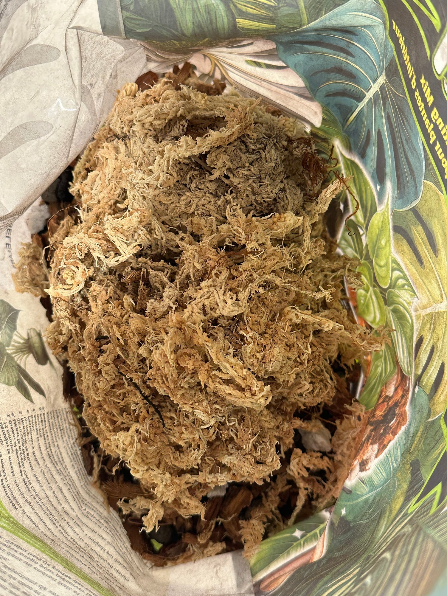 Hydra Forbidden Cereal