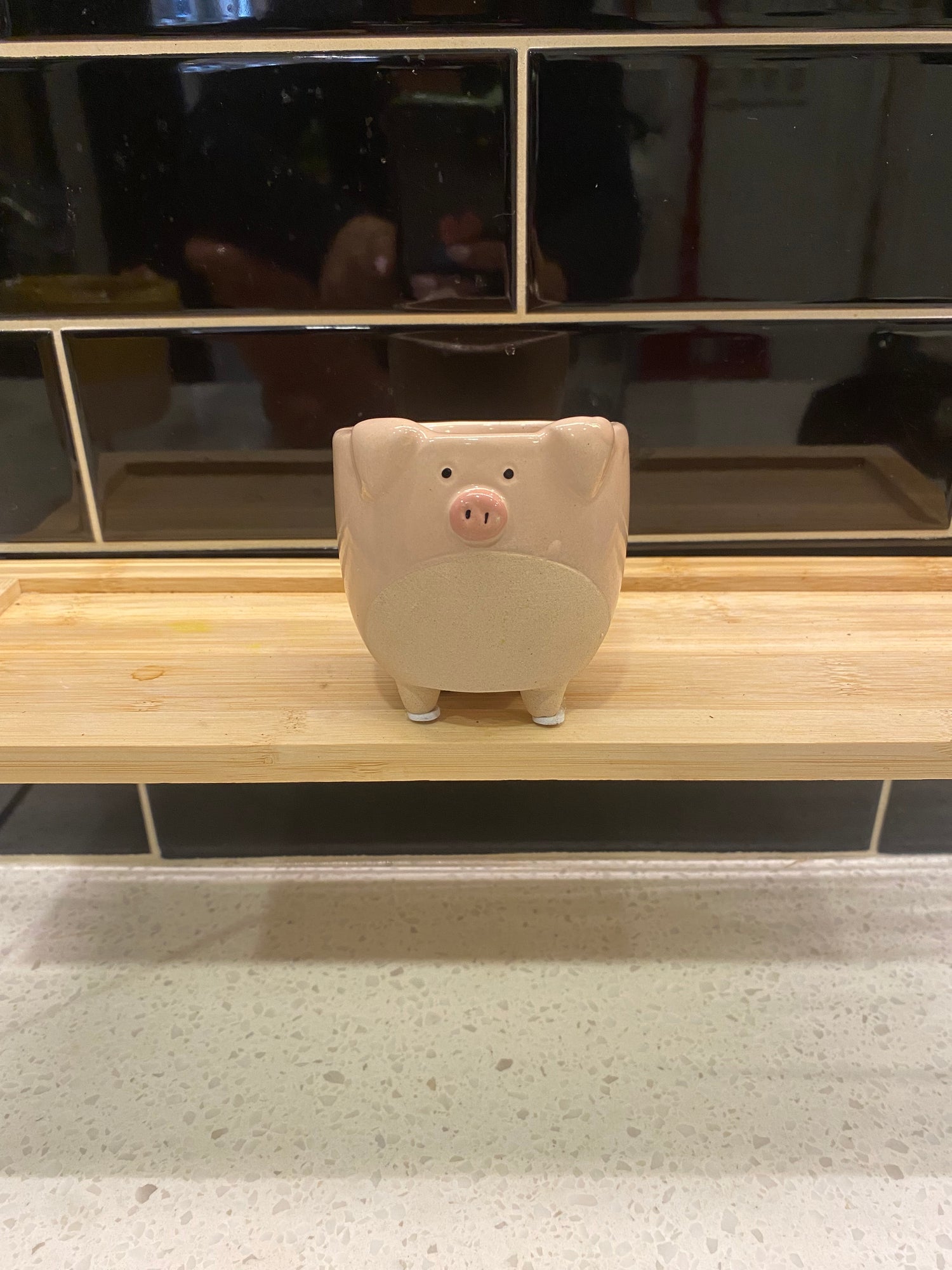 Small Pink Pig
