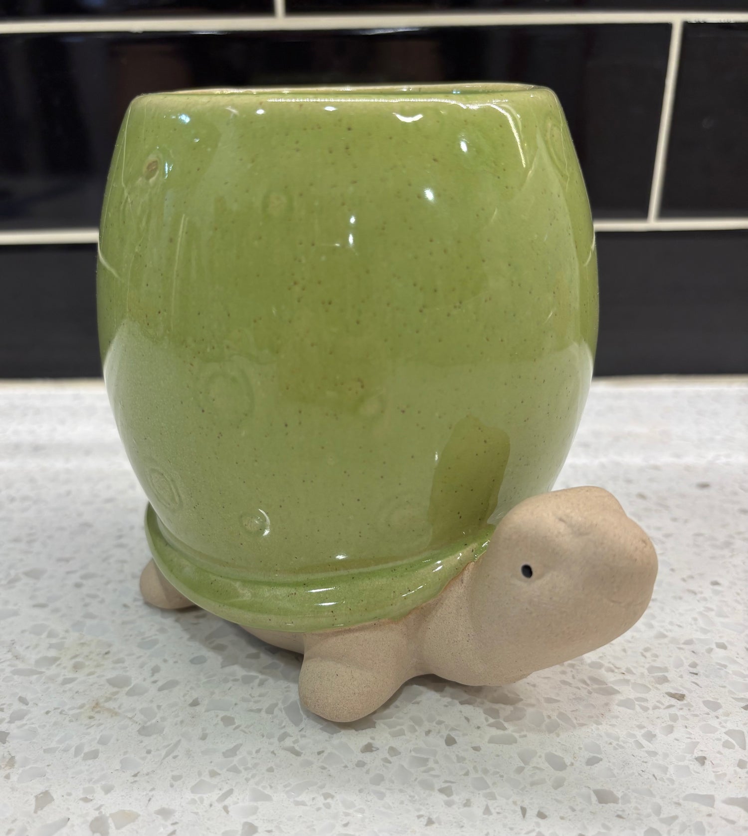 Cute Medium Turtle Pot w/ Green Shell
