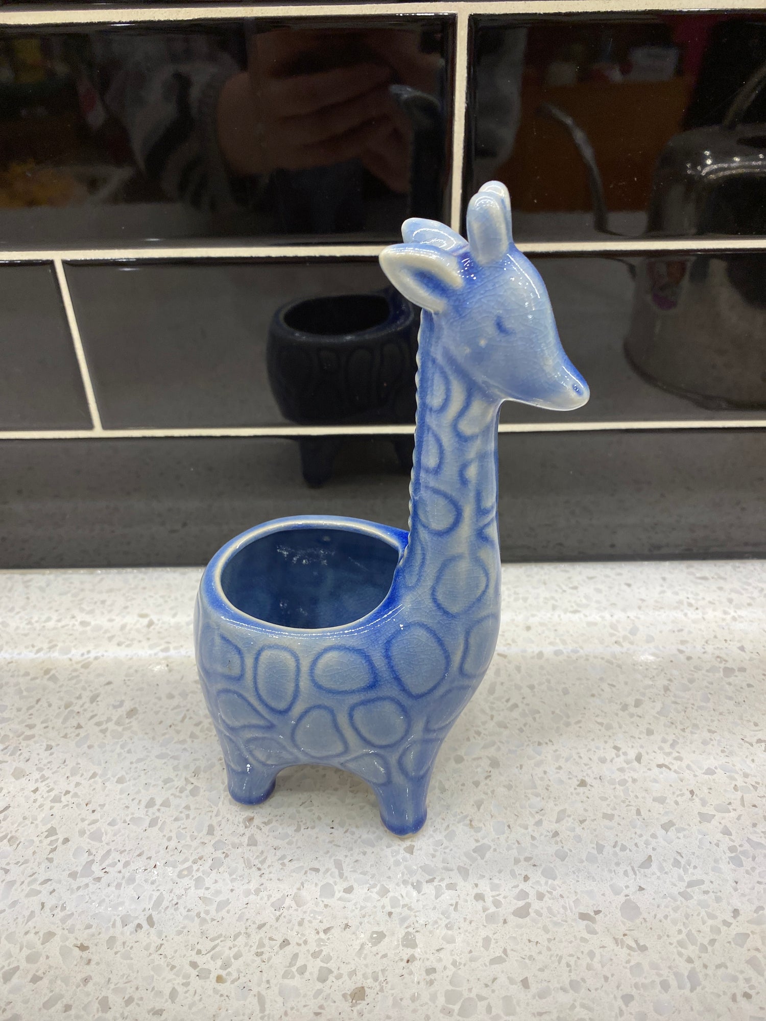Small Giraffe pot