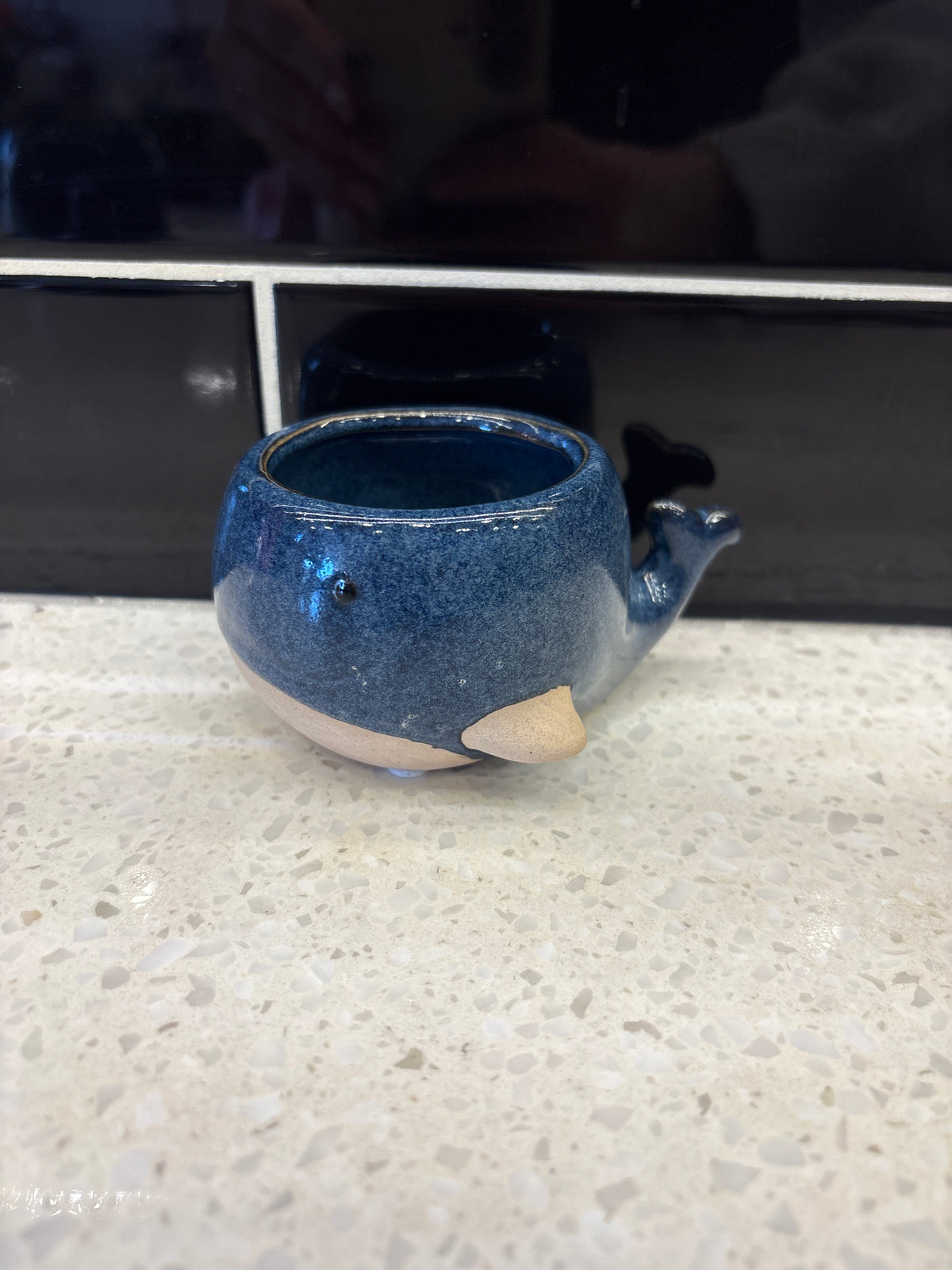 Small Whale Pot