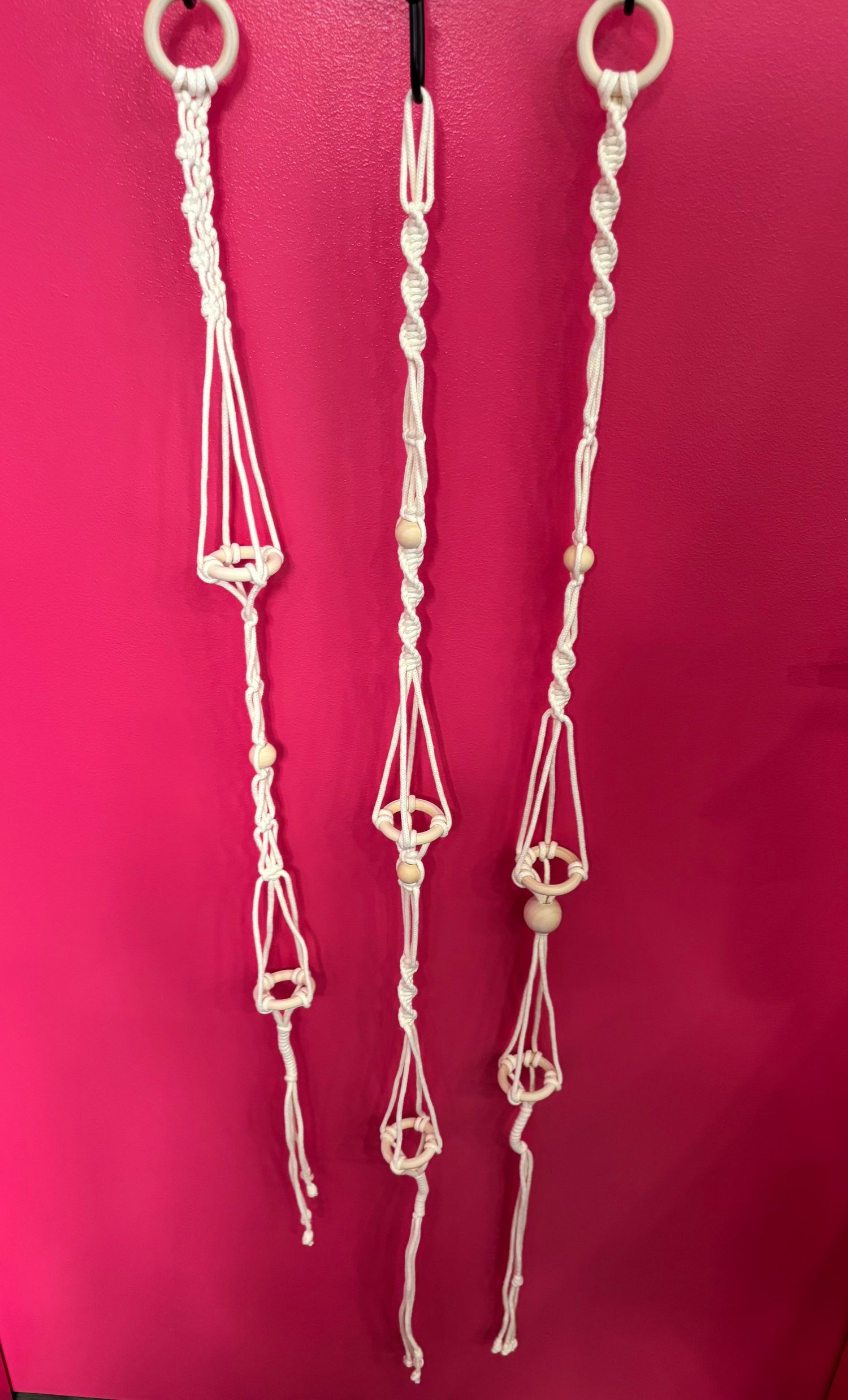 Air Plant Macrame Holder