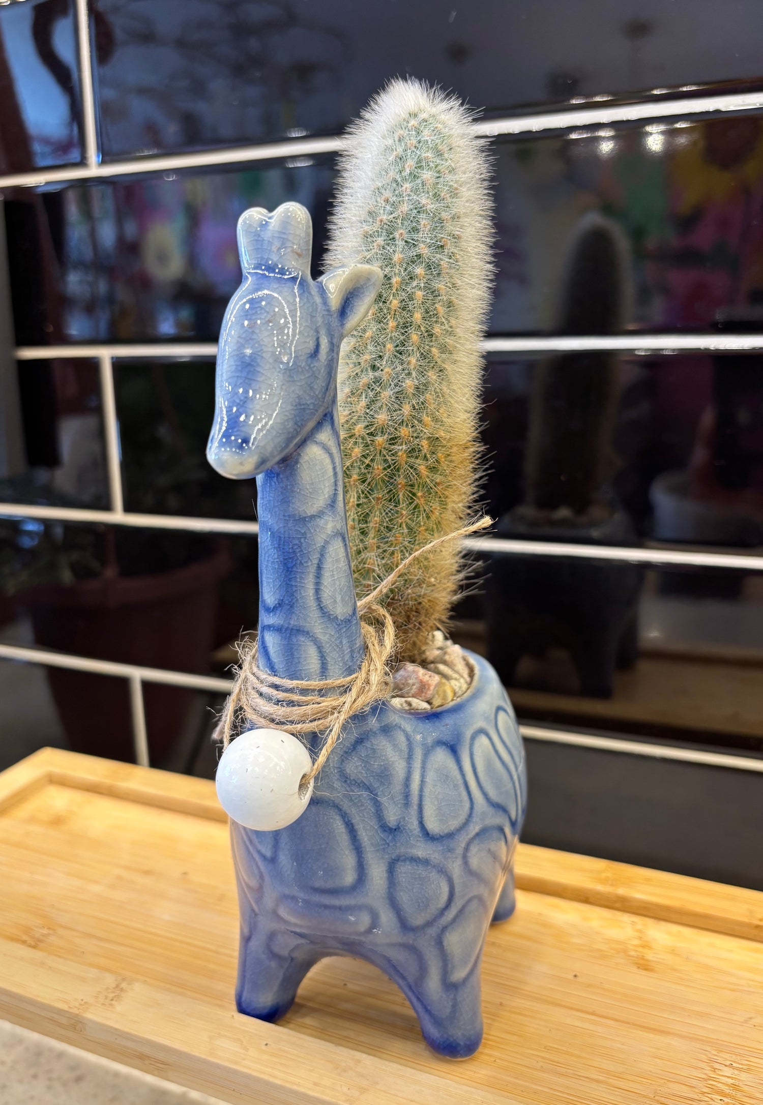 Blue Giraffe w/ Red Fox Tail Cactus