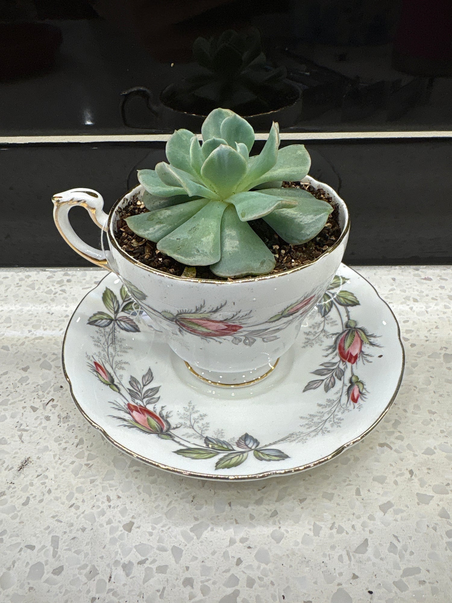 Celebrate Mother's Day Weekend - Bridgerton Style