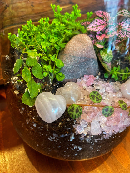 Pink heart Terrarium