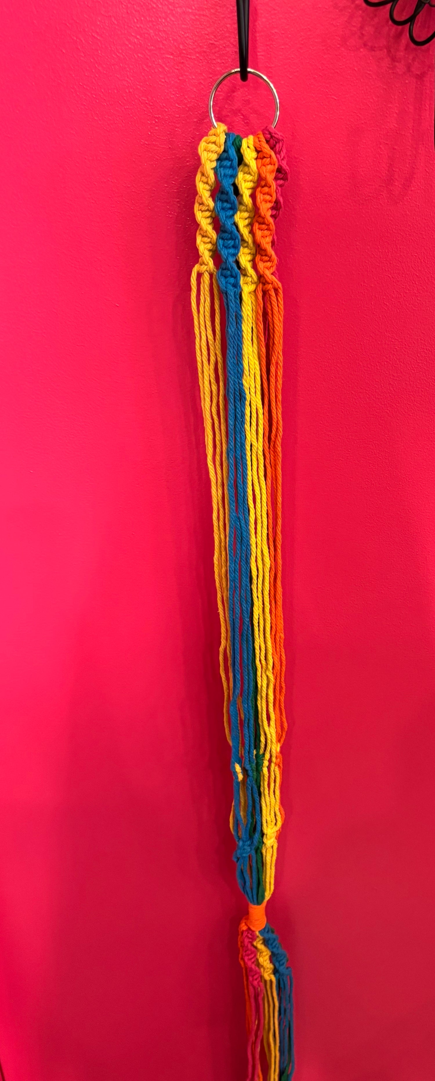 Macrame 6 Braid Rainbow Single Holder