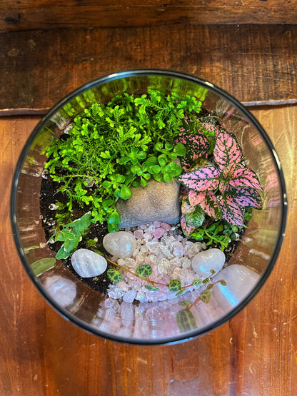 Pink heart Terrarium
