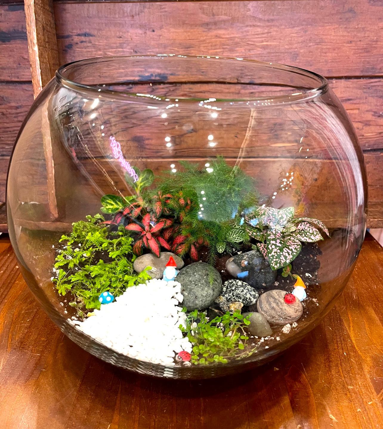 Terrarium - Large (white rocks)