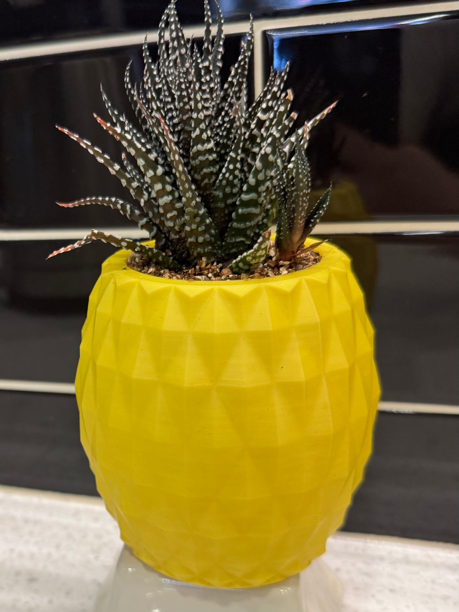 Ux 3D-Printed Pineapple Potted with Haworthia