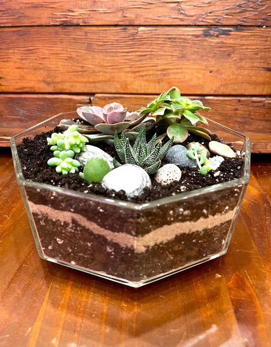 Succulent planter