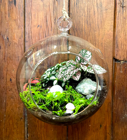 Terrarium - Small Hanging