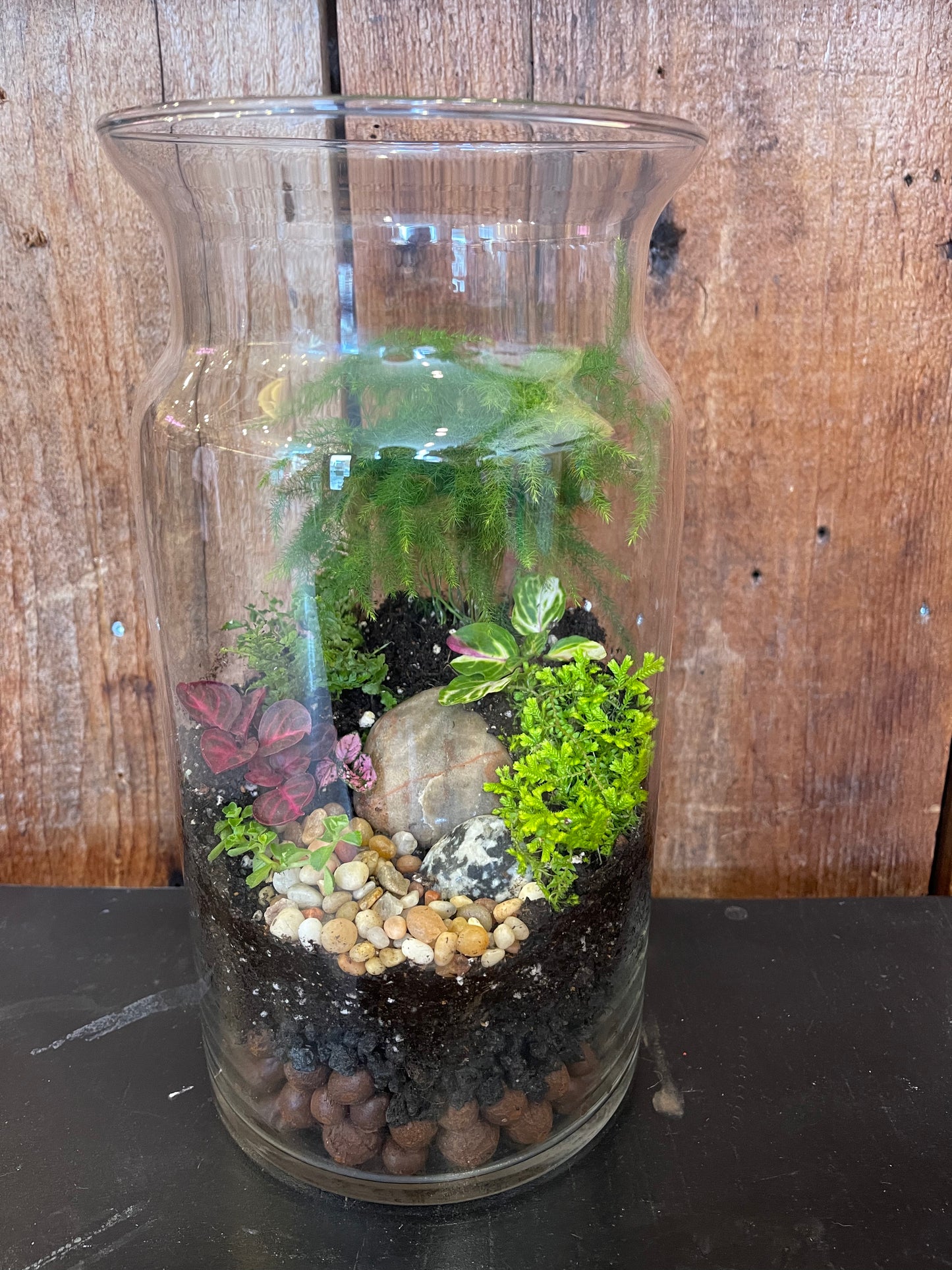 Terrarium Tall Glass Jar w/ decorative rocks