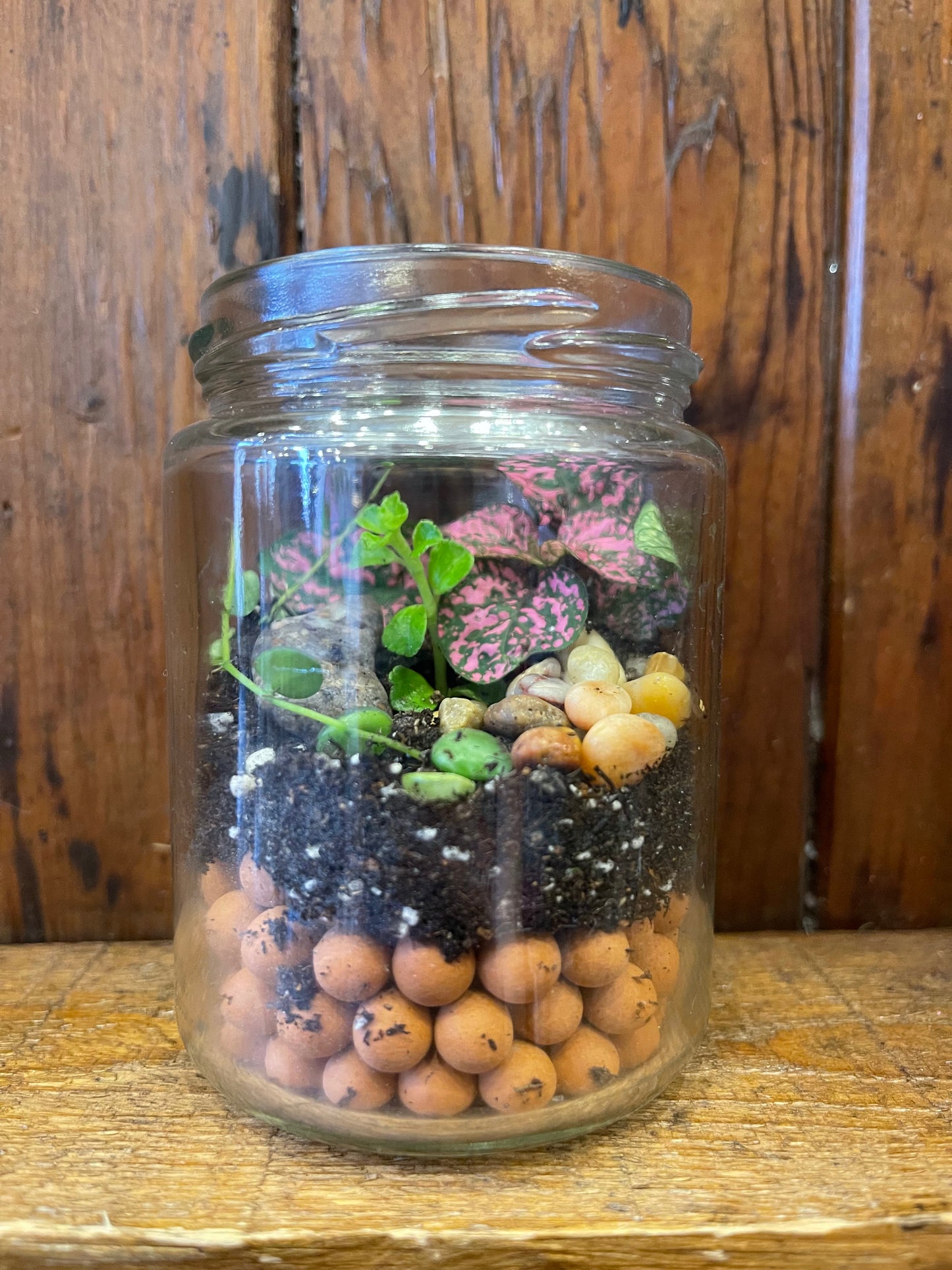 Terrarium Pink Mason Jar