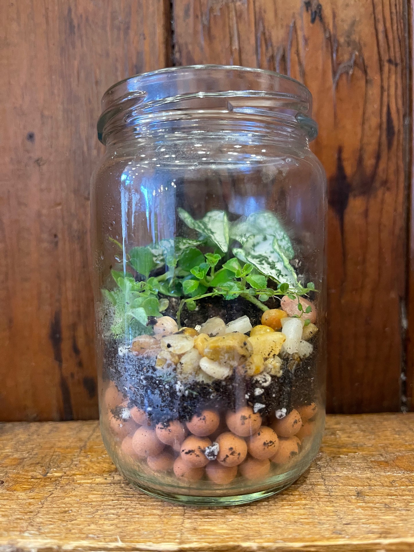 Terrarium Green Mason Jar